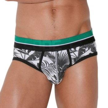 Code 22 Palm Tree Brief Mixed Medium Herre