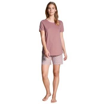 Calida Lovely Nights Short Pyjama Rosa Mønster bomull Small Dame