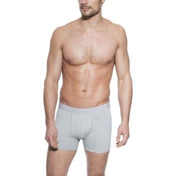 Bread and Boxers Boxer Brief 3P Grå økologisk bomull Medium Herre