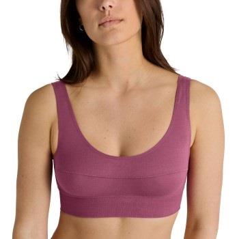 Calida BH Elastic Top Gammelrosa bomull Medium Dame