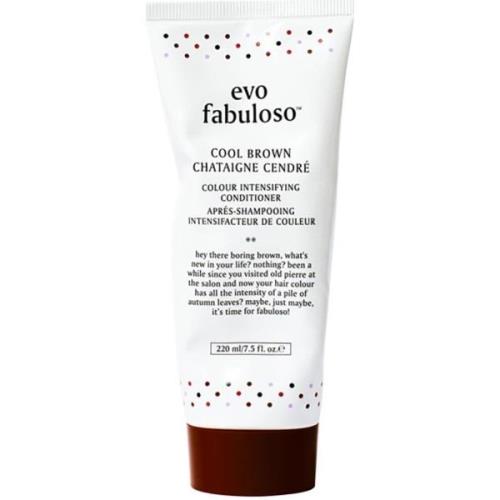 Evo Fabuloso Cool Brown Color Boosting Treatment 220 ml