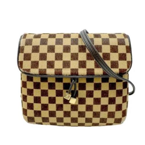 Pre-owned Leather louis-vuitton-bags