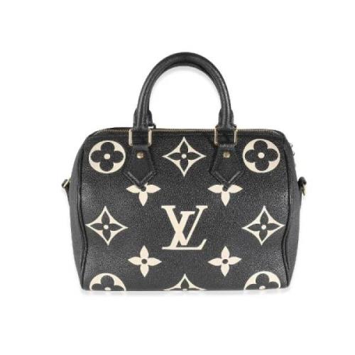 Pre-owned Leather louis-vuitton-bags