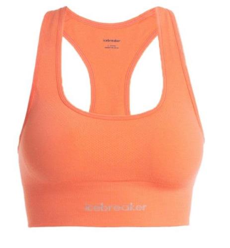 Icebreaker Women's Merino Seamless Active Bra Tang