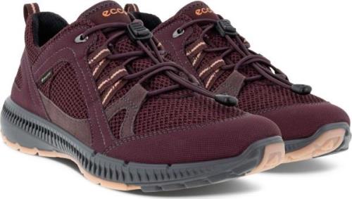 Ecco Women's Terracruise II Gtx Tex Fig/Fig