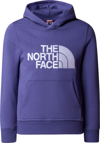 The North Face Boys' Drew Peak Pull-Over Hoodie Cave Blue