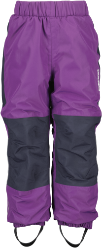 Didriksons Kids' Narvi Pant 2 Royal Purple