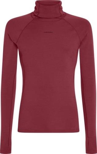 Icebreaker Men's Merino 300 Merinofine™  Polar Longsleeve Roll Neck Po...