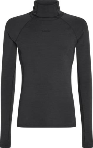 Icebreaker Men's Merino 300 Merinofine™  Polar Longsleeve Roll Neck Bl...