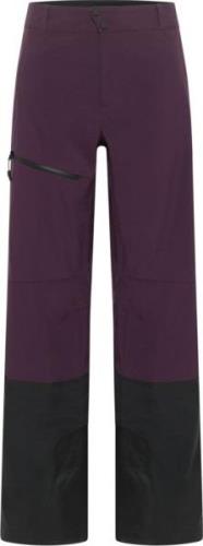 Jack Wolfskin Men's Alpspitze Tour 3l Pants Midnight Plum