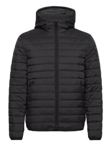 Quilted Crinkle Jacket Hood Fôret Jakke Black Calvin Klein