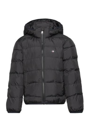 Light Padded Shield Jacket Fôret Jakke Black GANT