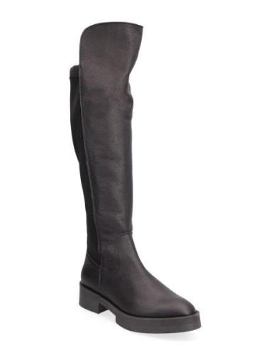 Maxton Boot Høye Støvletter Black Steve Madden