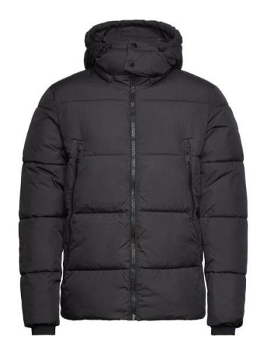 Cfwilson 0085 Short Puffer Jacket Fôret Jakke Black Casual Friday