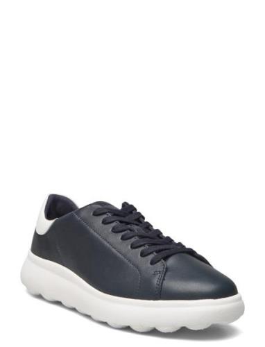 U Spherica Ec4.1 A Lave Sneakers Navy GEOX