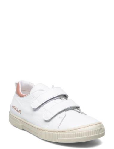 Shoes - Flat - With Velcro Lave Sneakers White ANGULUS