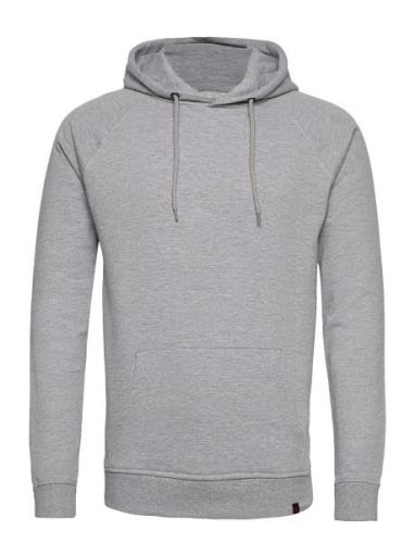 Basic Sweat Hoodie Tops Sweat-shirts & Hoodies Hoodies Grey Denim Proj...