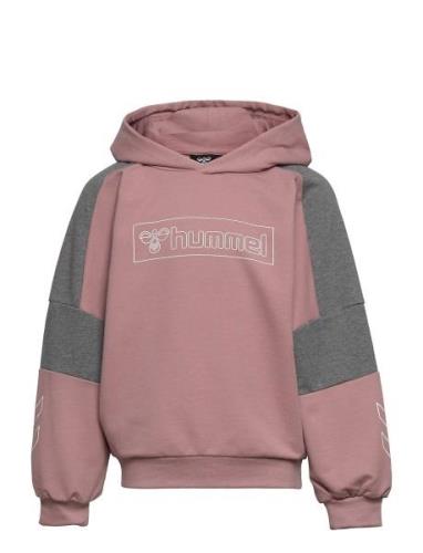 Hmlboxline Hoodie Sport Sweat-shirts & Hoodies Hoodies Pink Hummel