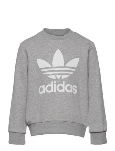 Trefoil Crew Tops Sweat-shirts & Hoodies Sweat-shirts Grey Adidas Orig...