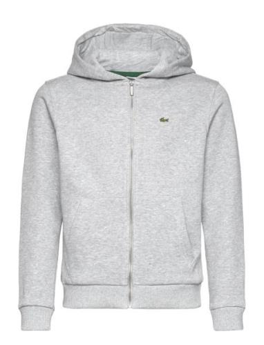 Sweatshirts Sport Sweat-shirts & Hoodies Hoodies Grey Lacoste