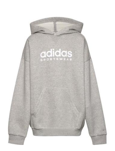 Fleece Hoodie Kids Sport Sweat-shirts & Hoodies Hoodies Grey Adidas Sp...