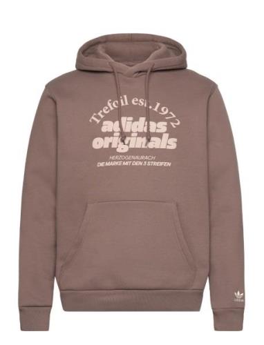 Grf Hoodie Sport Sweat-shirts & Hoodies Hoodies Brown Adidas Originals