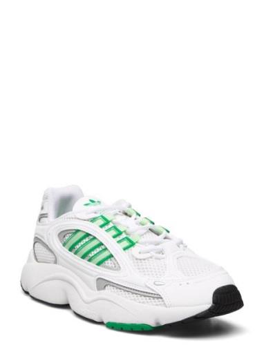 Ozmillen W Sport Sneakers Low-top Sneakers White Adidas Originals