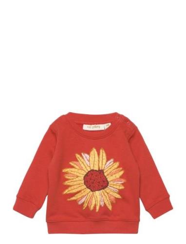 Sgbbuzz Sunflower Sweatshirt Tops Sweat-shirts & Hoodies Sweat-shirts ...