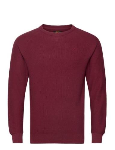 Raglan Crew Knit Tops Knitwear Round Necks Burgundy Lee Jeans