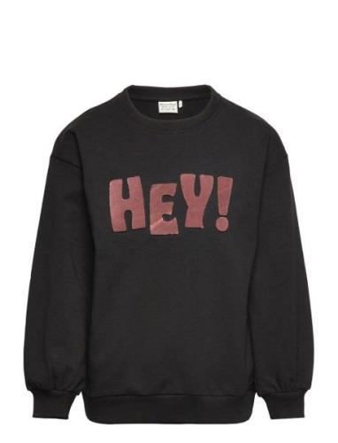 Sweatshirt Ls Tops Sweat-shirts & Hoodies Sweat-shirts Black Minymo