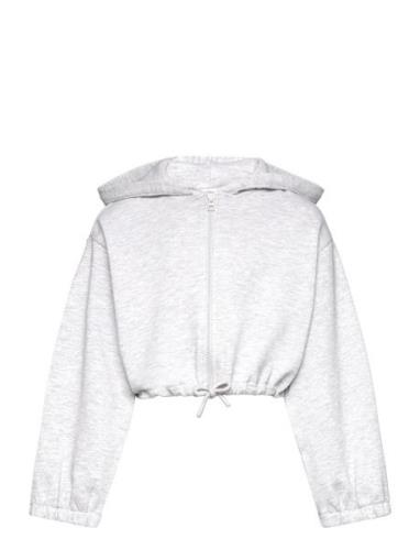 Cropped Hoody Jacket Tops Sweat-shirts & Hoodies Hoodies Grey Tom Tail...