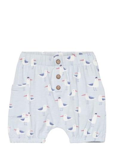 Halvor - Shorts Bottoms Shorts Blue Hust & Claire