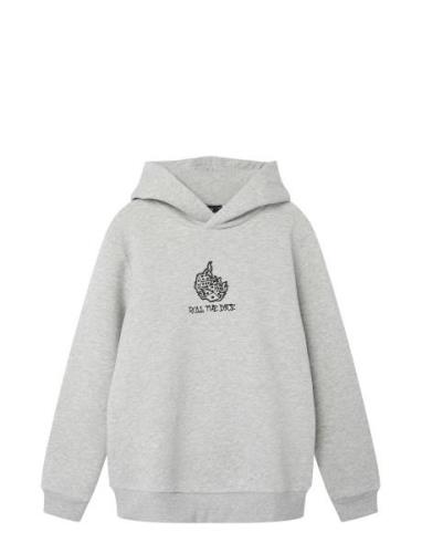 Nlmdice Ls Sweat W. Hood Tops Sweat-shirts & Hoodies Hoodies Grey LMTD