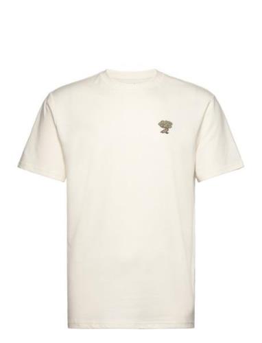 Hco. Guys Knits Tops T-shirts Short-sleeved Cream Hollister