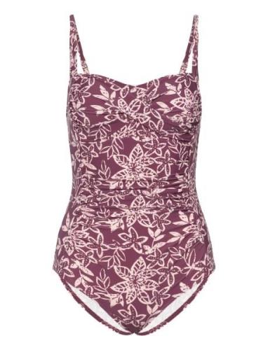 Bologna Swimsuit Badedrakt Badetøy Purple Missya