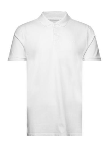 Hco. Guys Knits Tops Polos Short-sleeved White Hollister