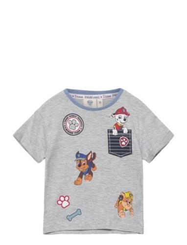 Short-Sleeved T-Shirt Tops T-shirts Short-sleeved Grey Paw Patrol