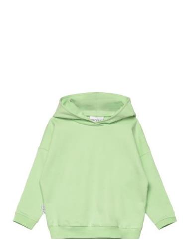 College Hoodie Tops Sweat-shirts & Hoodies Hoodies Green Gugguu