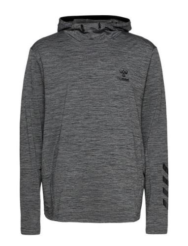 Hmlaston Hoodie Sport Sweat-shirts & Hoodies Hoodies Grey Hummel