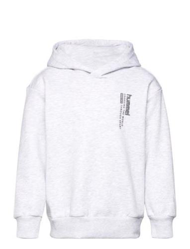 Hmldante Hoodie Sport Sweat-shirts & Hoodies Hoodies Grey Hummel