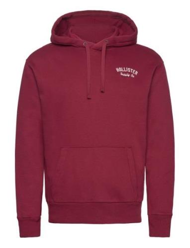 Hco. Guys Sweatshirts Tops Sweat-shirts & Hoodies Hoodies Burgundy Hol...