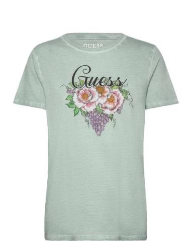 Ss Grape Vine Logo Easy Tee Tops T-shirts & Tops Short-sleeved Green G...