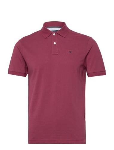 Slim Fit Logo Tops Polos Short-sleeved Purple Hackett London