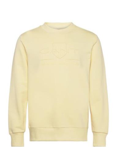 Reg Tonal Shield C-Neck Sweat Tops Sweat-shirts & Hoodies Sweat-shirts...