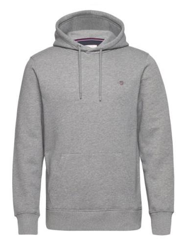 Reg Shield Hoodie Tops Sweat-shirts & Hoodies Hoodies Grey GANT