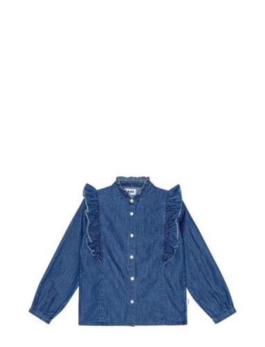 Raphaella Tops Shirts Long-sleeved Shirts Blue Molo