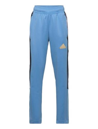 J Np Tiro Pant Bottoms Sweatpants Blue Adidas Sportswear