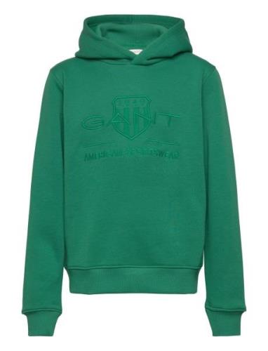 Tonal As Hoodie Tops Sweat-shirts & Hoodies Hoodies Green GANT