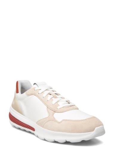 U Spherica Actif A Lave Sneakers White GEOX