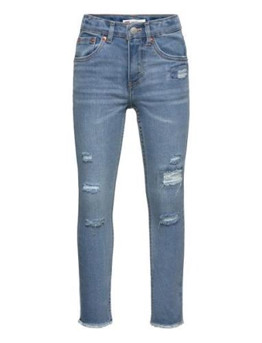 Levi's® 512™ Slim Taper Fit Jeans Bottoms Jeans Skinny Jeans Blue Levi...